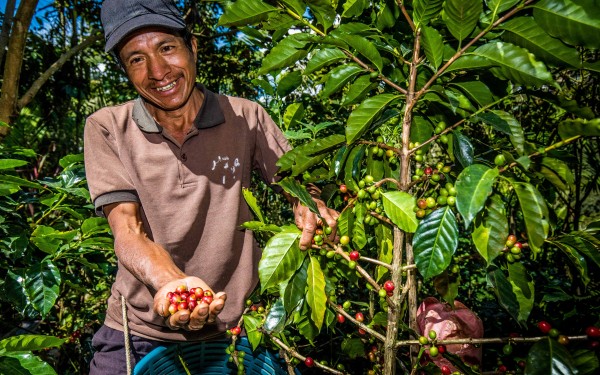 Unterstützung für Bio-Kaffeeanbau und Ökotourismus